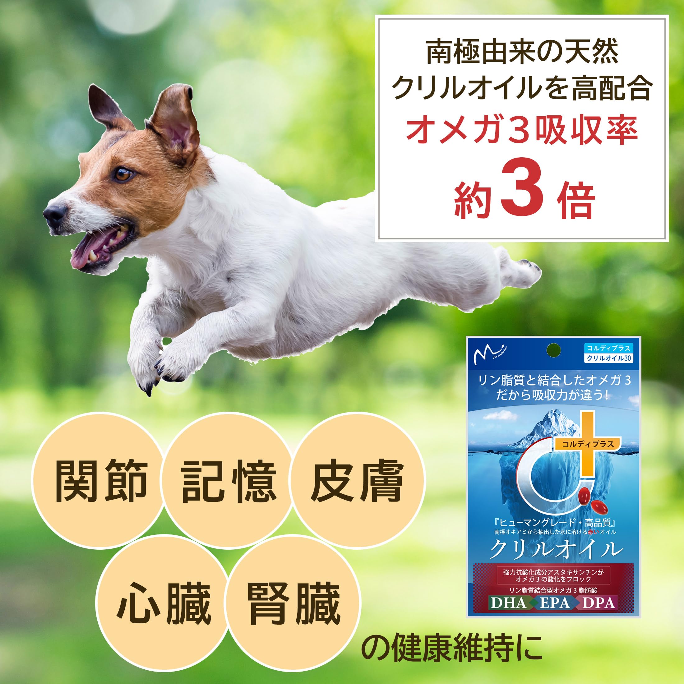 クリルオイル 180粒 コルディプラス　2袋 Amazon | コルディプラス クリルオイル 180粒 犬 猫 関節 サプリ dha